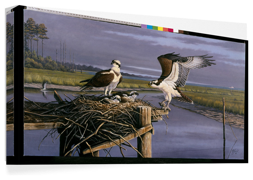 Wilhelm Goebel 'Chesapeake Treasurers Osprey' Canvas Art, 24"x12"
