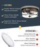 2 Light Flush Mount Ceiling Light Fixture, Vintage, Farmhouse