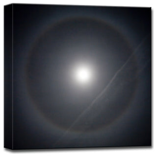 Ready2HangArt 'Moonalo' by Bartlettayes, 16x16