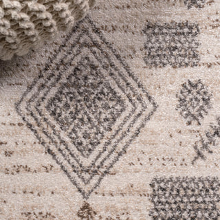 Bhalil Berber Diamond Geometric Beige/Gray 5 ft. x 8 ft. Area Rug