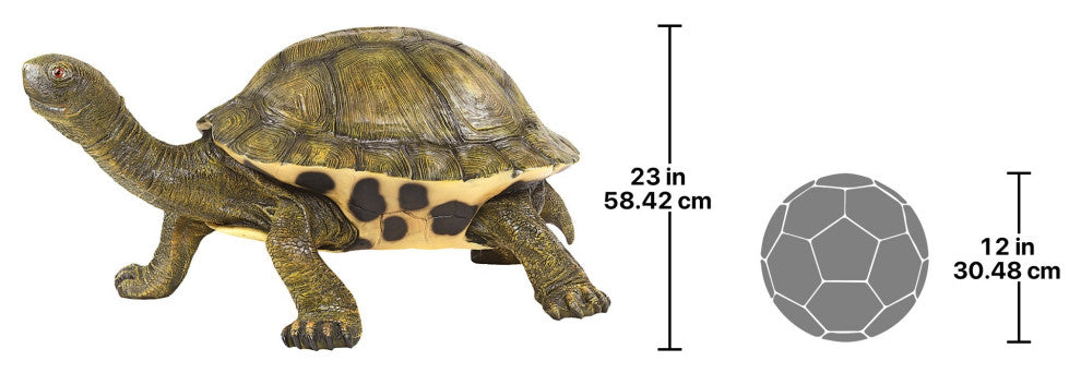Giant Tranquil Tortoise