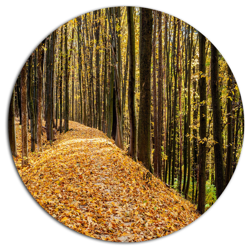 Dense Autumn Forest Woods, Modern Forest Disc Metal Artwork, 11"