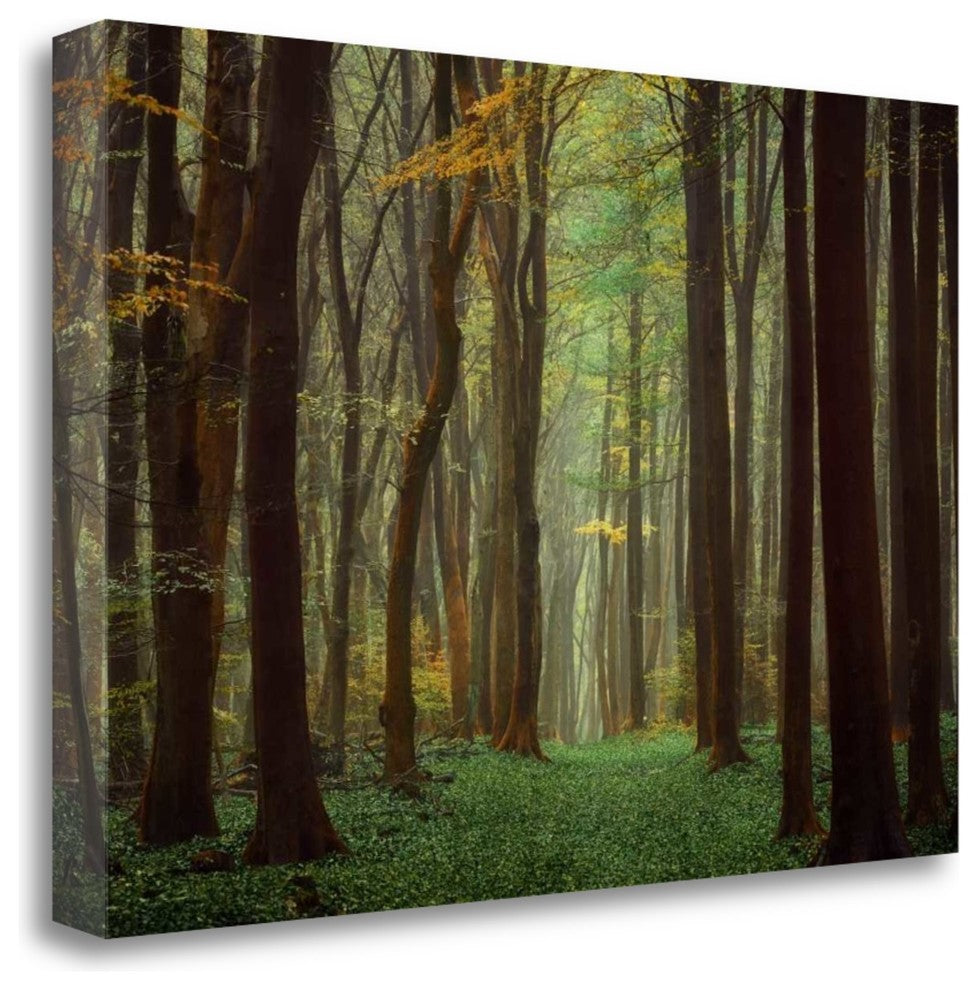 "Arriving Nowhere" By Lars Van De Goor, Giclee Print on Gallery Wrap Canvas