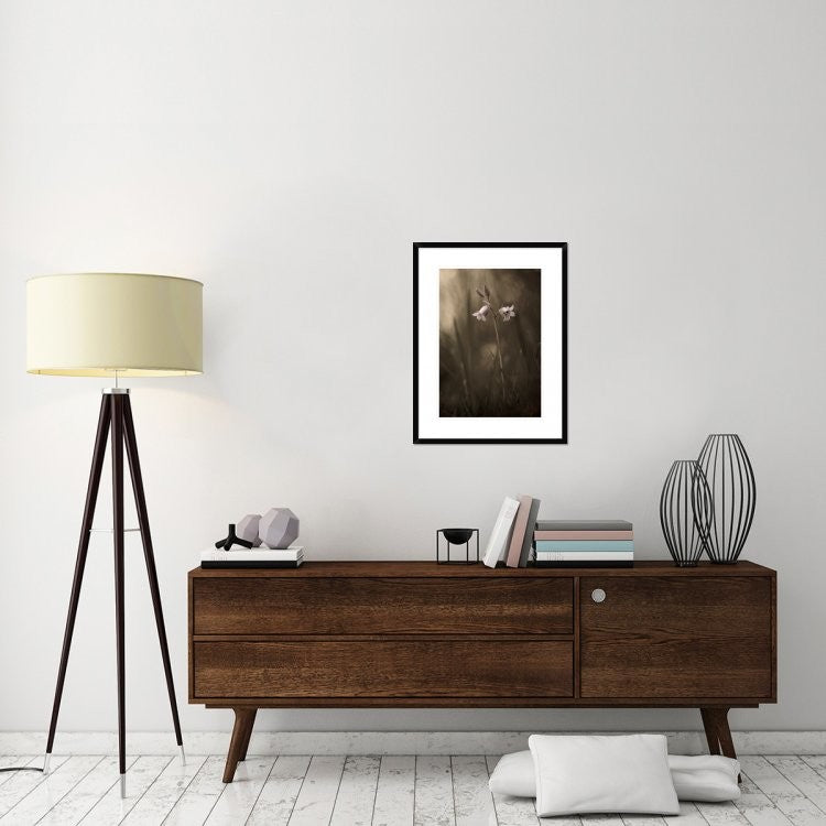 "A Small Flower On The Ground" Framed Digital Print by Allan Wallberg, 23"x30"