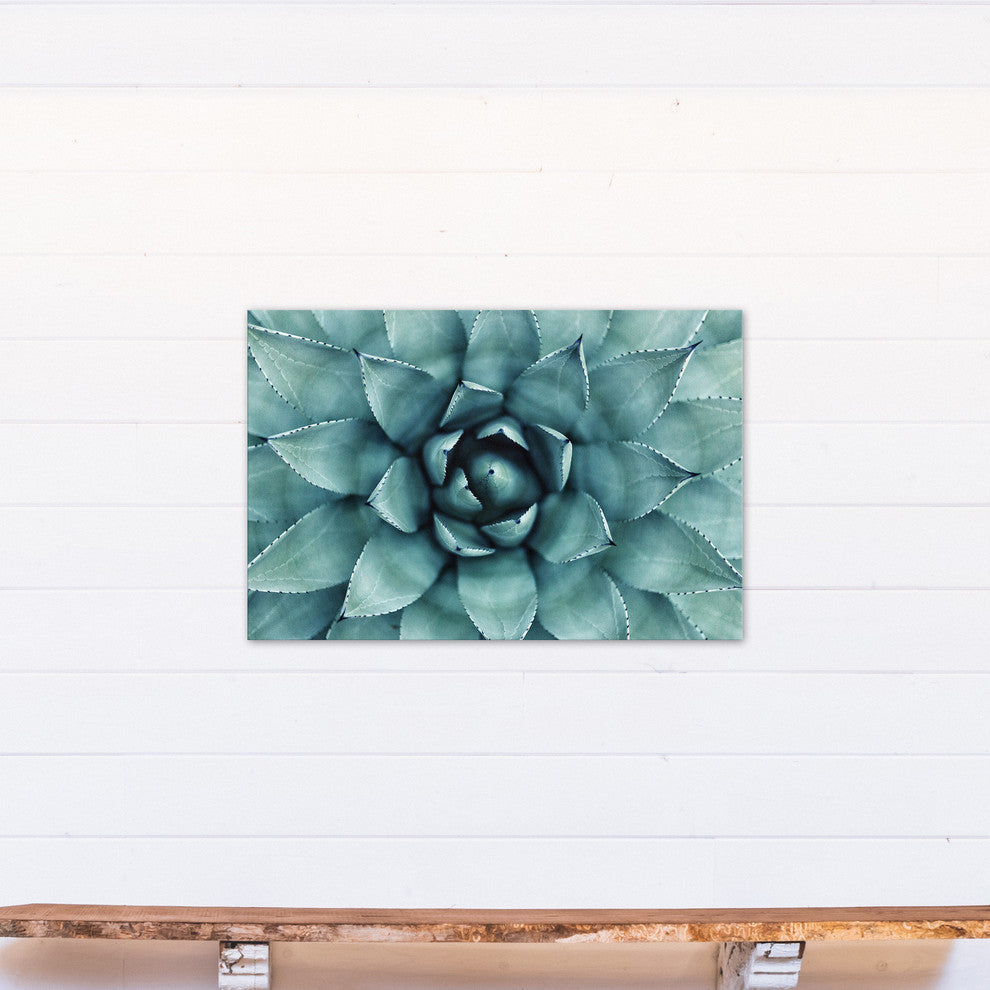 "Agave 3" Canvas Wall Art, 36"x24"