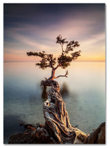 'Water Tree III' Canvas Art by Moises Levy