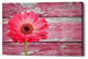 Epic Graffiti "Pink Beginnings" Giclee Canvas Wall Art, 26"x18"