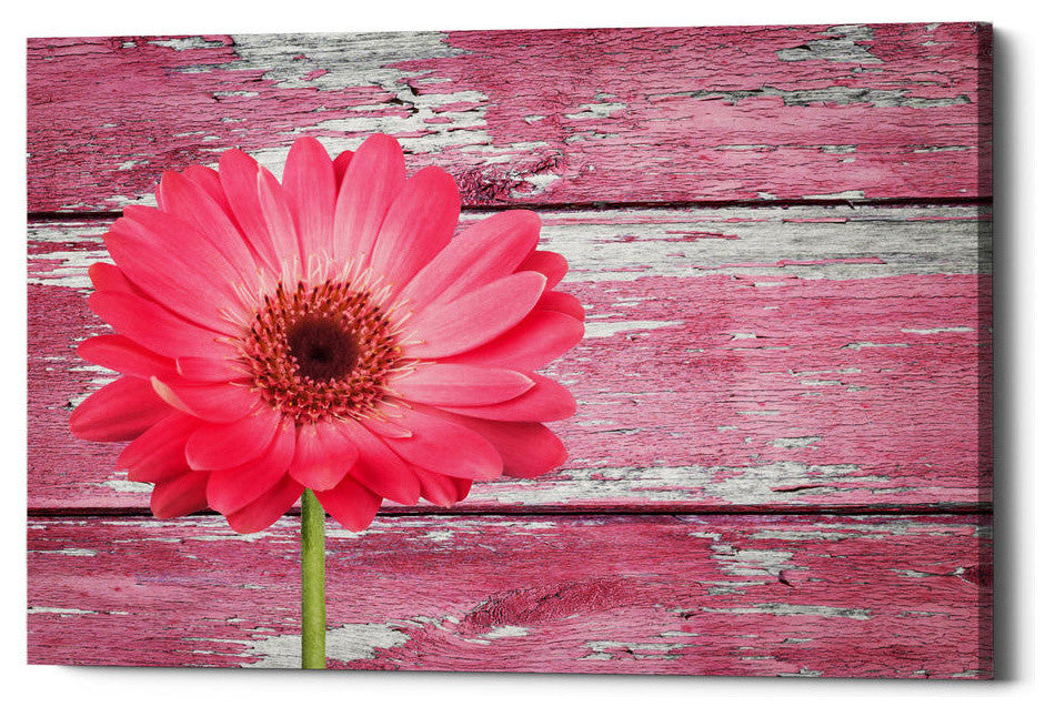 Epic Graffiti "Pink Beginnings" Giclee Canvas Wall Art, 26"x18"