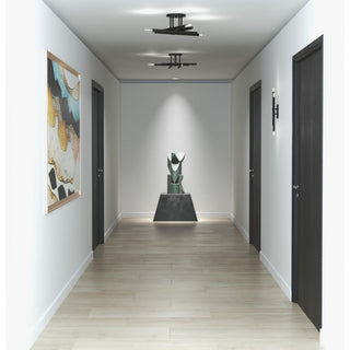 Arya Collection Four-Light Brushed Gold Luxe 20" Semi-Flush Mount Light, Matte Black