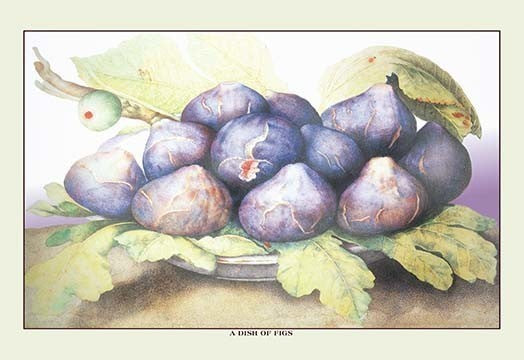 A Dish of Figs- Fine Art Giclee Print 24" x 36"