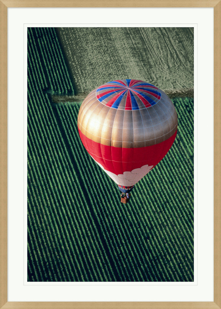 Balloon Over Vineyard 2, Giclee Reproduction Artwork