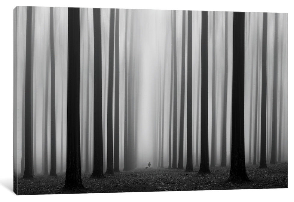 "Labyrinth" by Jochen Bongaerts Canvas Print, 26"x40"