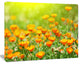 Yellow Marigold Flowers, Floral Canvas Art Print, 40"x30"