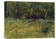 "A Park In Spring 1887" Stretched Canvas Giclee by Vincent Van Gogh, 16"x12"