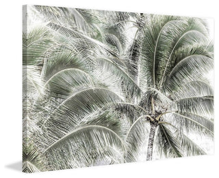 "Tropical Trees" Painting Print on Wrapped Canvas