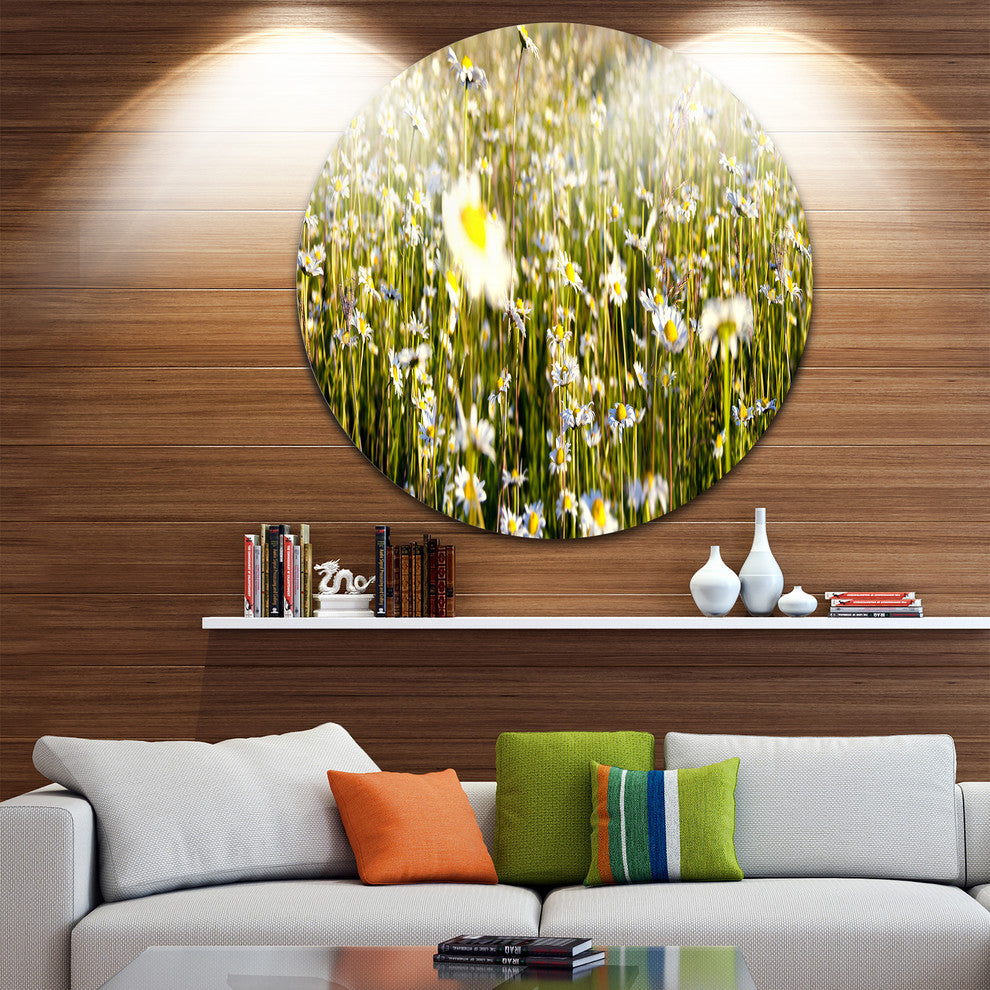 Wild Chamomile Flowers Field, Flower Round Wall Art, 36"