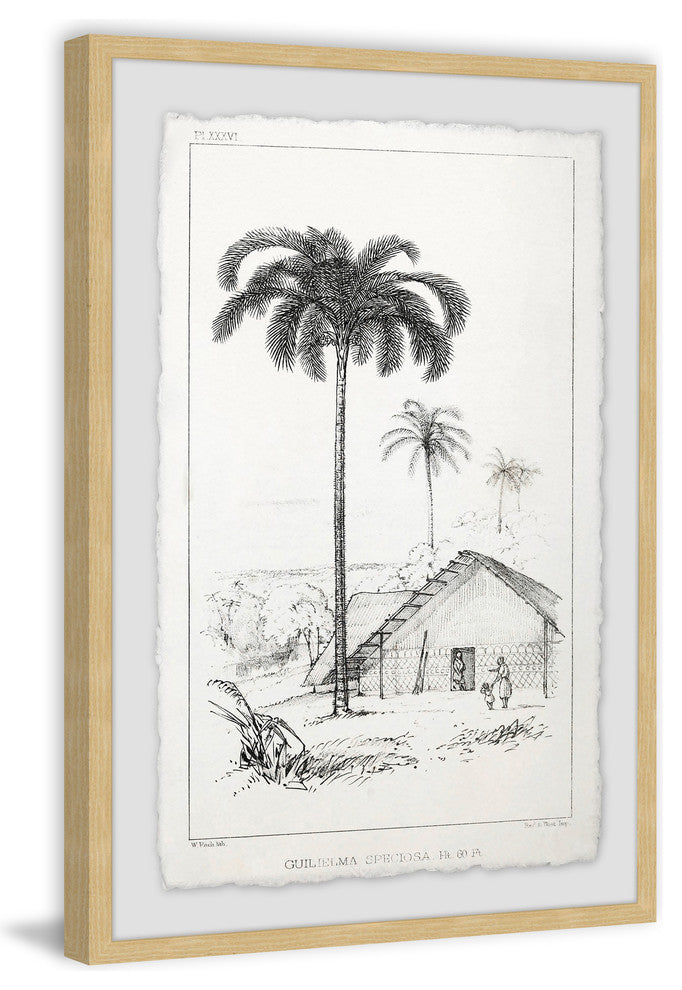 "The Arecaceae" Framed Painting Print, 12"x18"