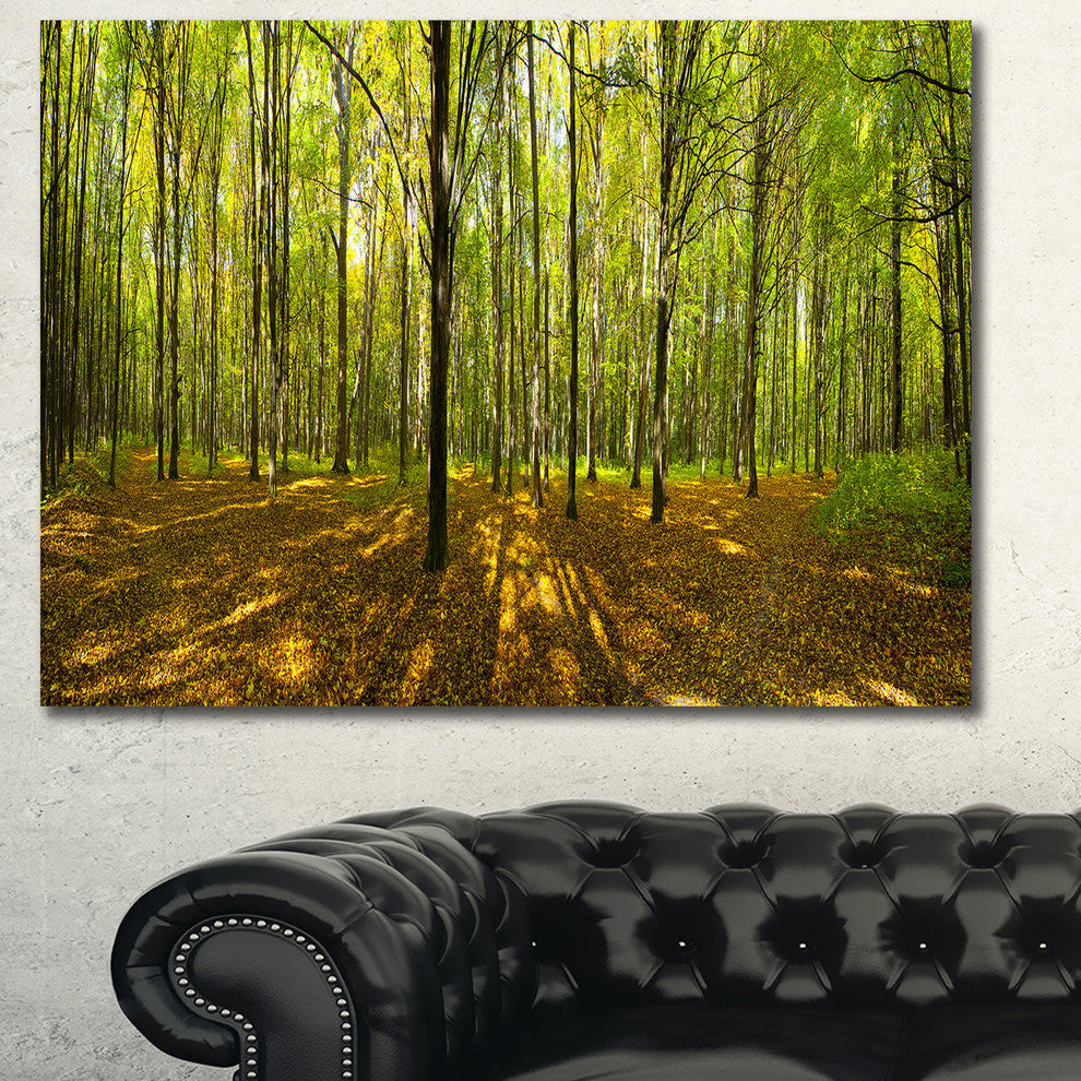 Green Autumn Forest Panorama, Large landscape Canvas Art Print, 60x40