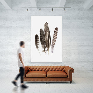 "Feathers II" Fine Art Giant Canvas Print, 48"x72"