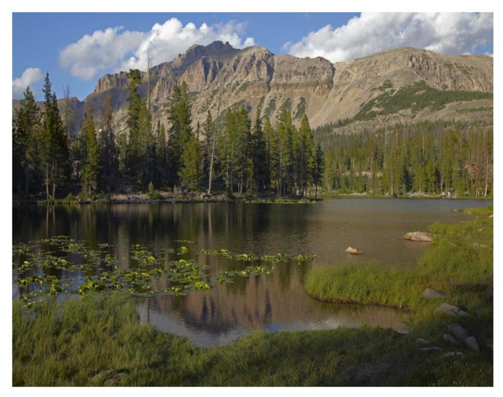 "Butterfly Lake, Uinta Range, Utah" Paper Print by Tim Fitzharris, 34"x26"