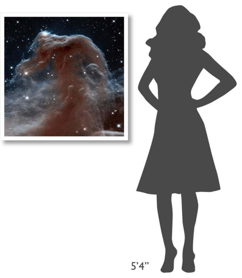"Horsehead Nebula, Infrared View" Digital Paper Print by NASA, 32"x32"
