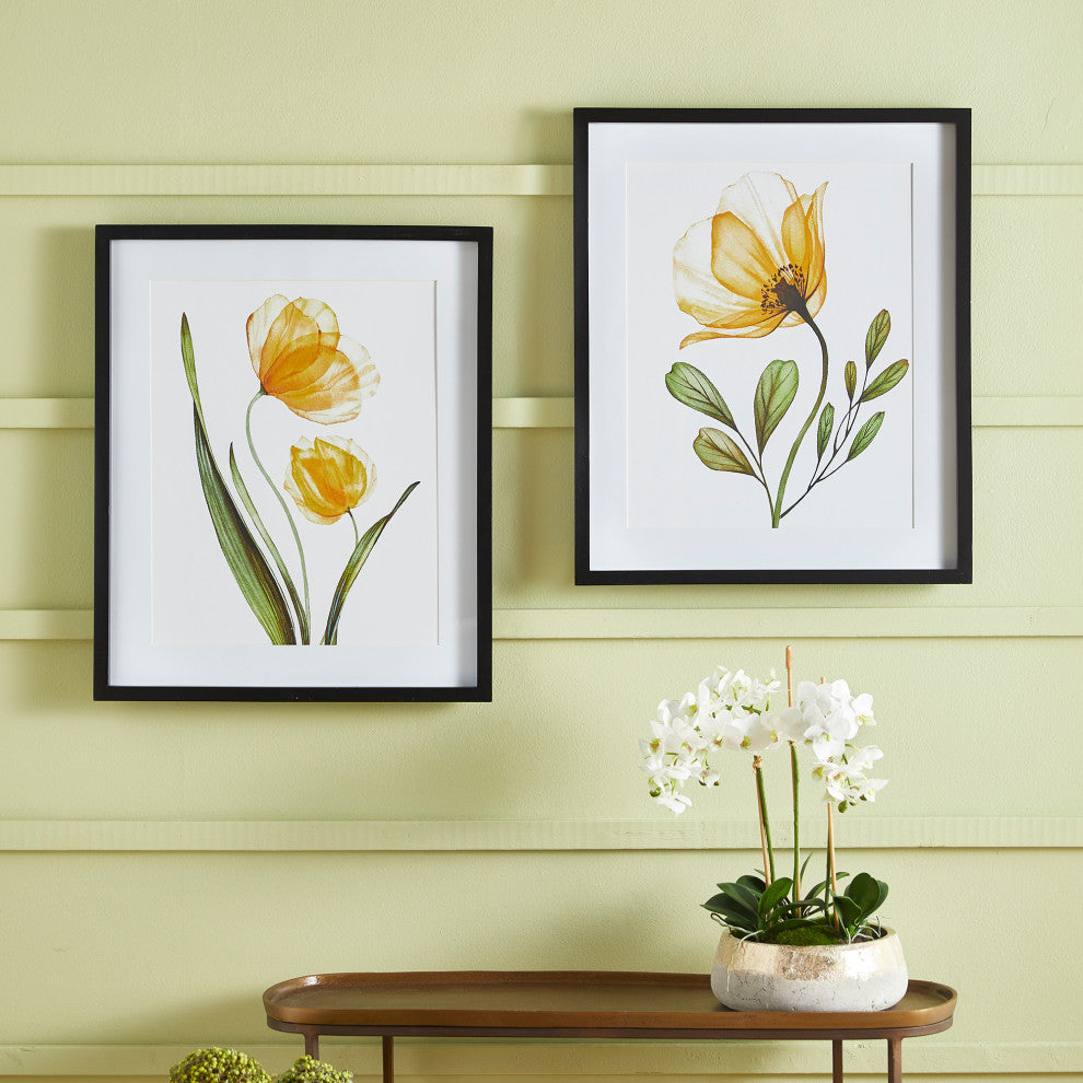 X-Ray Botanical Prints, Set of 2