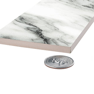 Touche Zebre Porcelain Floor/Wall Tile