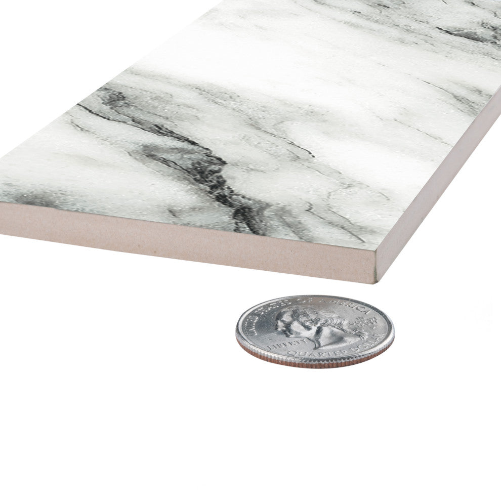 Touche Zebre Porcelain Floor/Wall Tile