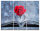 "Red Rose Inside the Book" Metal Wall Art, 3 Panels, 36"x28"