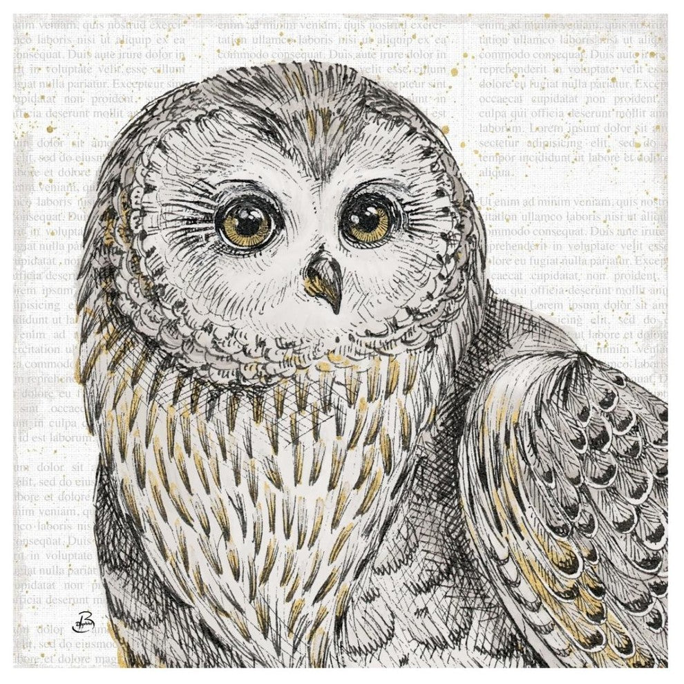 "Beautiful Owls II" Digital Paper Print by Daphne Brissonnet, 32"x32"