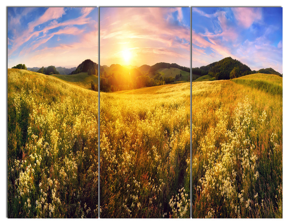 Beautiful Meadow Panorama, Landscape Triptych Canvas Art Print, 36x28, 3 Panels