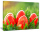 "Red Easter Eggs in Green Grass" Landscape Canvas Photo Print, 20"x12"
