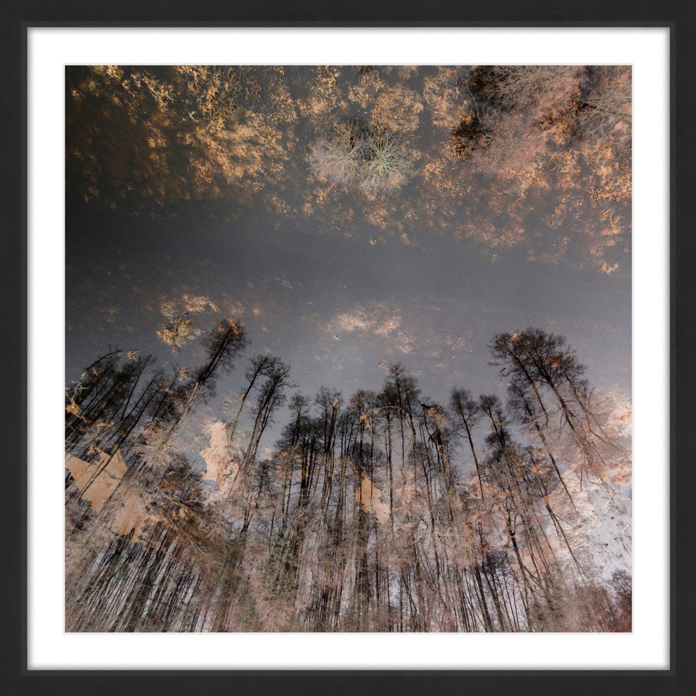 "To The Sky" Framed Print by Karolis Janulis