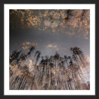 "To The Sky" Framed Print by Karolis Janulis