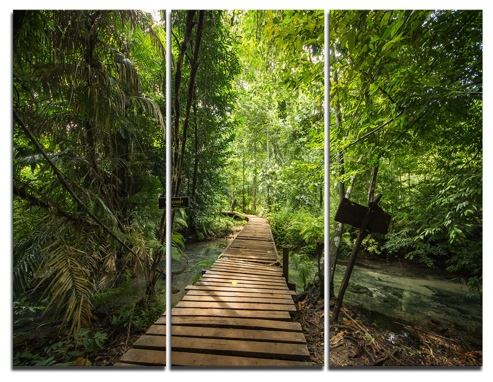 "Forest Way to Emerald Pool" Photo Canvas Art Print, 3 Panels, 36"x28"