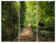 "Forest Way to Emerald Pool" Photo Canvas Art Print, 3 Panels, 36"x28"