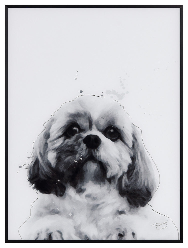"Shih-Tzu" Black and White Pet Paintings on Printed Glass With Anodized Frame