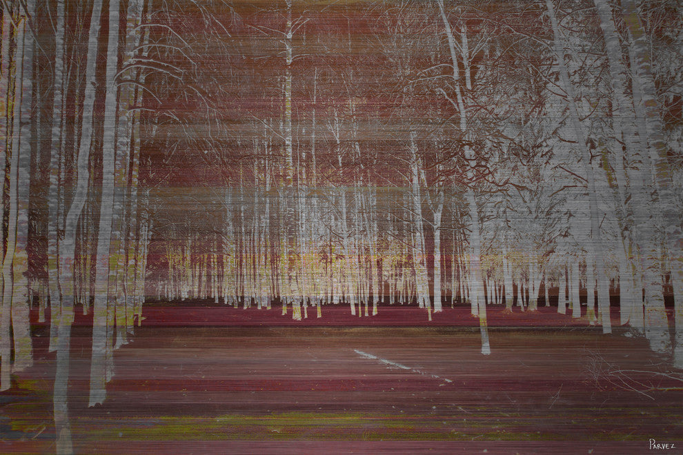 "Night Birch" UV Ink Print on Brushed Aluminum, 60"x40"