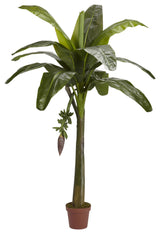 6' Banana Silk Tree, Real Touch