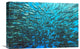 "Splitted School Of Jackfish" Stretched Canvas Giclee by Henry Jager, 22x15"
