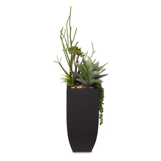 Full product on white background, clear frontal presentation.