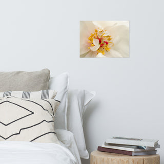 Eye of Peony Nature Photography, Floral Unframed Wall Art Print, 12" X 16"