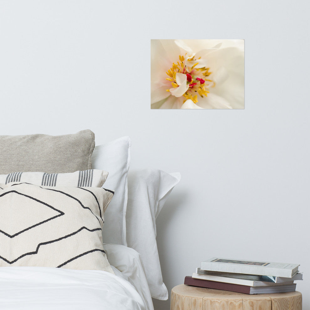 Eye of Peony Nature Photography, Floral Unframed Wall Art Print, 12" X 16"