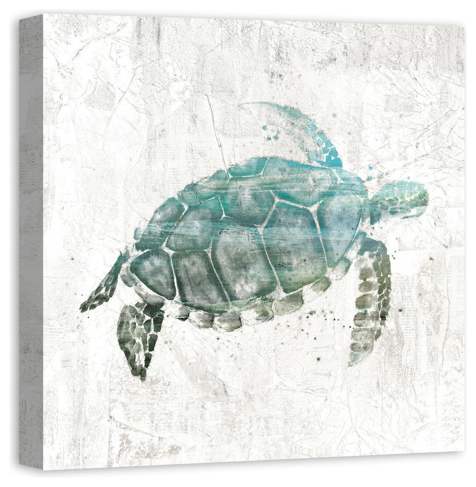 Turquoise Sea Turtle Canvas Wall Art, 24"x24"