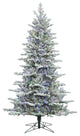 10' X 71" Frst Eastern Fir 1050Led Multi