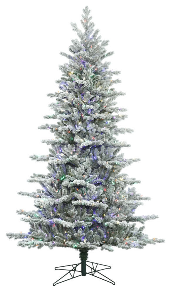 10' X 71" Frst Eastern Fir 1050Led Multi