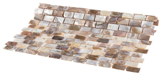 Conchella Subway Natural Natural Shell Wall Tile