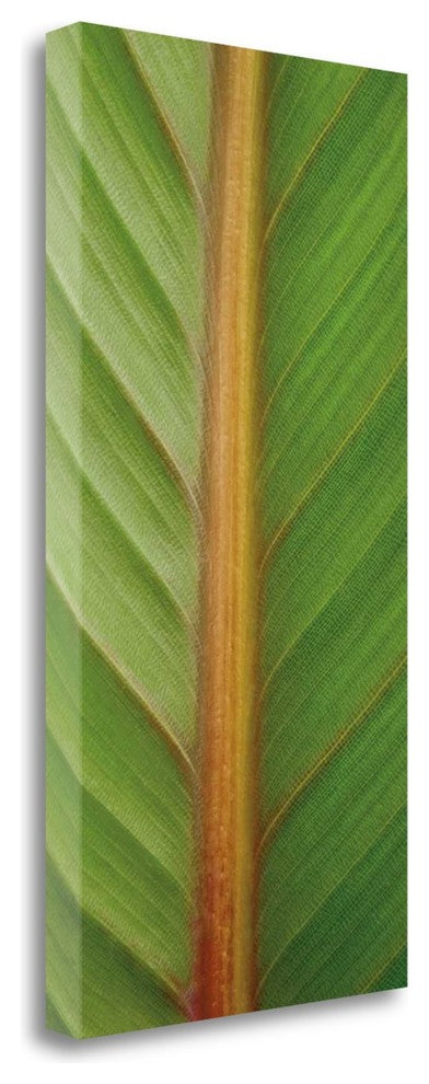 "Verdant Trio II" By Jeff, Giclee Print on Gallery Wrap Canvas, Ready to Hang