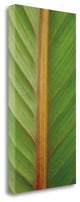 "Verdant Trio II" By Jeff, Giclee Print on Gallery Wrap Canvas, Ready to Hang