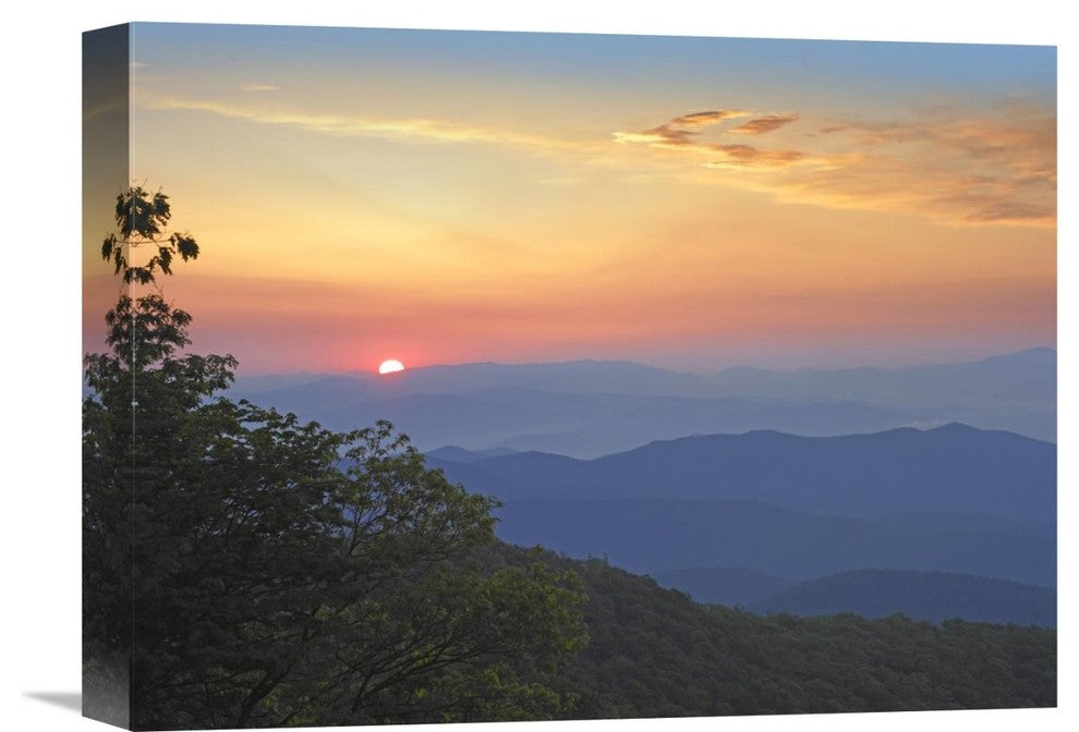" Pisgah National Forest, Blue Ridge Parkway, North Carolina" Artwork